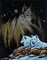 DIY Janlynn Northern Lights Wolf Wolves Counted Cross Stitch Kit